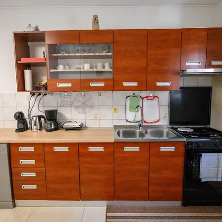 Plavsic *