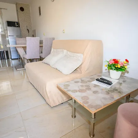 Apartment Plavsic