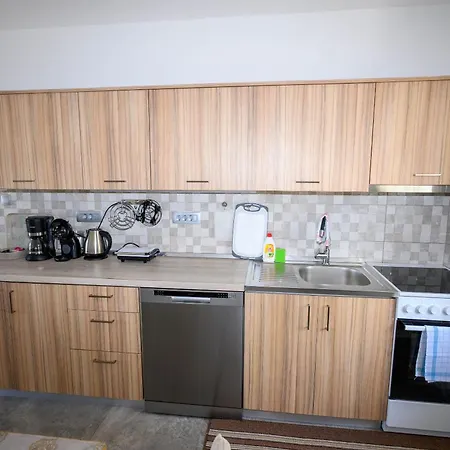 Apartment Plavsic