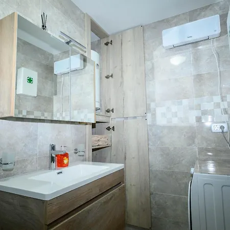 Plavsic Apartment
